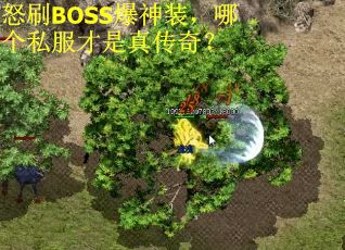 怒刷BOSS爆神装，哪个私服才是真传奇？