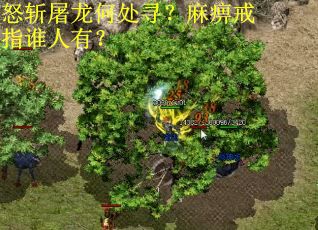 怒斩屠龙何处寻？麻痹戒指谁人有？