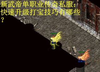 新武帝单职业传奇私服：快速升级打宝技巧有哪些？