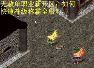 无赦单职业新开区：如何快速冲级称霸全服？