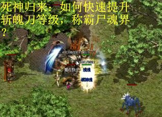 死神归来：如何快速提升斩魄刀等级，称霸尸魂界？
