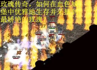玫瑰传奇，如何在血色城堡中优雅地生存并采摘到最娇艳的玫瑰？