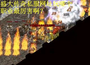 盛大传奇私服网址玩哪个职业最厉害啊？
