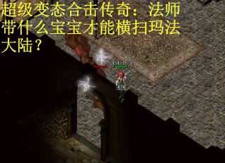 超级变态合击传奇：法师带什么宝宝才能横扫玛法大陆？