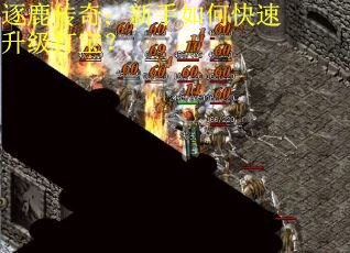 逐鹿传奇：新手如何快速升级打宝？