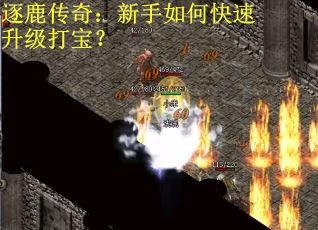逐鹿传奇：新手如何快速升级打宝？