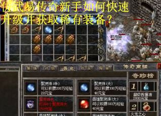 仿武易传奇新手如何快速升级并获取稀有装备？