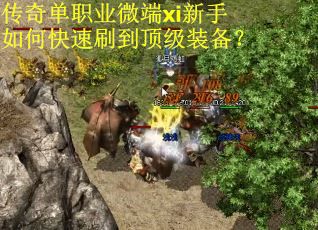 传奇单职业微端xi新手如何快速刷到顶级装备？