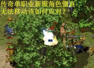 传奇单职业新服角色僵直无法移动该如何应对？