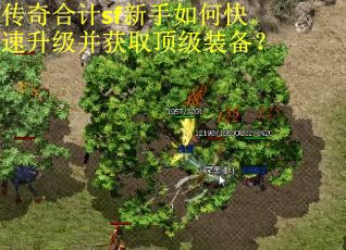 传奇合计sf新手如何快速升级并获取顶级装备？
