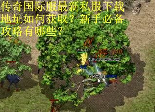 传奇国际服最新私服下载地址如何获取？新手必备攻略有哪些？