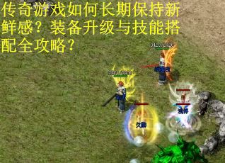 传奇游戏如何长期保持新鲜感？装备升级与技能搭配全攻略？
