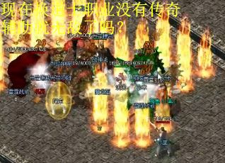 现在换道士职业没有传奇辅助就无敌了吗？