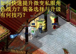 如何快速提升微变私服角色战力?装备选择与升级有何技巧? 如何快速提升微变私服角色战力?装备选择与升级有何技巧?