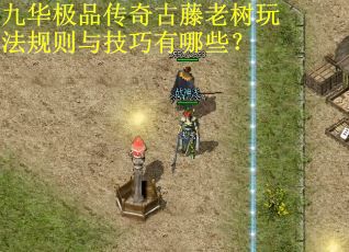 九华极品传奇古藤老树玩法规则与技巧有哪些? 九华极品传奇古藤老树玩法规则与技巧有哪些?