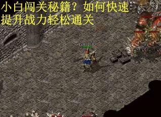 小白闯关秘籍？如何快速提升战力轻松通关