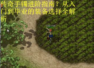 传奇手镯进阶指南?从入门到毕业的装备选择全解析 传奇手镯进阶指南?从入门到毕业的装备选择全解析