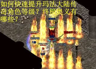 如何快速提升玛法大陆传奇角色等级？终极奥义有哪些？