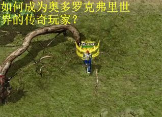 如何成为奥多罗克弗里世界的传奇玩家？