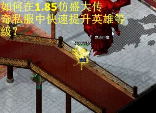 如何在1.85仿盛大传奇私服中快速提升英雄等级？