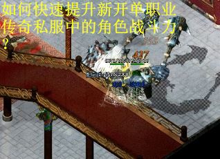 如何快速提升新开单职业传奇私服中的角色战斗力? 如何快速提升新开单职业传奇私服中的角色战斗力?
