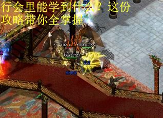 行会里能学到什么？这份攻略带你全掌握