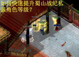 如何快速提升蜀山战纪私服角色等级？