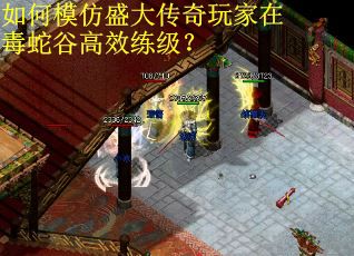 如何模仿盛大传奇玩家在毒蛇谷高效练级? 如何模仿盛大传奇玩家在毒蛇谷高效练级?